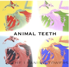 animal teeth