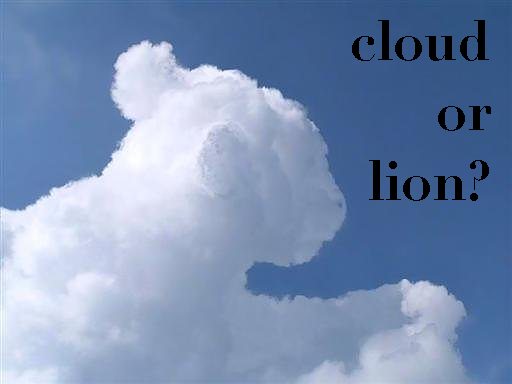 cloud or lion